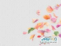 عکس png گلبرگ های پراکنده