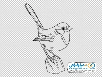 طرح سیاه و سفید پرنده نشسته روی سنگ