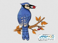 تصویر وکتوری پرنده آبی نشسته روی شاخه درخت