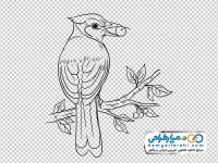 وکتور سیاه و سفید پرنده نشسته روی شاخه