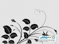 عکس وکتوری گل رز وحشی