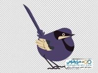 عکس وکتوری پرنده