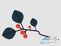 عکس وکتوری شاخه درخت با توت زمستانی با فرمت png