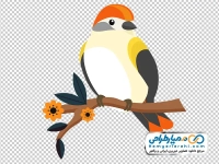 فایل png پرنده نشسته روی شاخه
