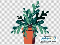 تصویر png گیاه آپارتمانی در گلدان