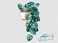 فایل png گلدان گل آپارتمانی آویزان