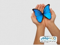 تصویر با کیفیت پروانه آبی نشسته روی دست