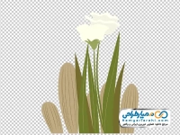 تصویر وکتوری گل سفید چمنزار