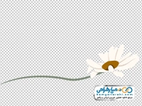 تصویر وکتوری گل بابونه
