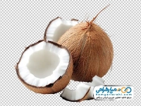 تصویر png نارگیل