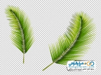 وکتور برگ درخت گرمسیری