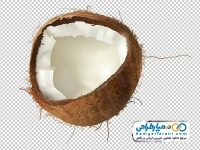 تصویر وکتوری نارگیل شکسته