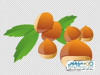 فایل png تصویر وکتوری فندق