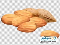 فایل png عکس وکتوری بادام