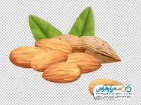 عکس وکتوری بادام