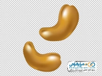 دانلود عکس وکتوری بادام هندی