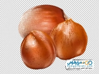 دانلود عکس وکتوری فندق با فرمت png
