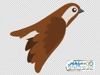 عکس کارتونی پرنده