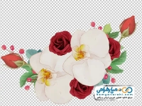 عکس وکتوری گل سفید و قرمز