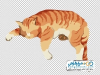 تصویر png گربه خوابیده