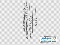 تصویر وکتوری برگ های آویزان پیچک دودل