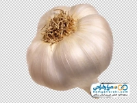 عکس با کیفیت سیر خشک