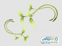 عکس وکتوری ساقه گیاه برگ دار