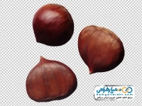 عکس png شاه بلوط چینی