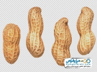 تصویر با کیفیت بادام زمینی با پوست