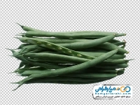 عکس با کیفیت لوبیا سبز