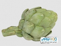 عکس با کیفیت کنگر فرنگی