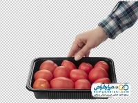 تصویر بدون پس زمینه گوجه فرنگی داخل ظرف یکبار مصرف