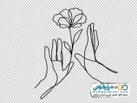 تصویر دوربری دست زنانه با شاخه گل