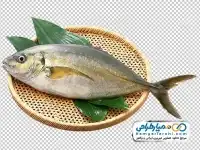دوربری تصویر ماهی خام